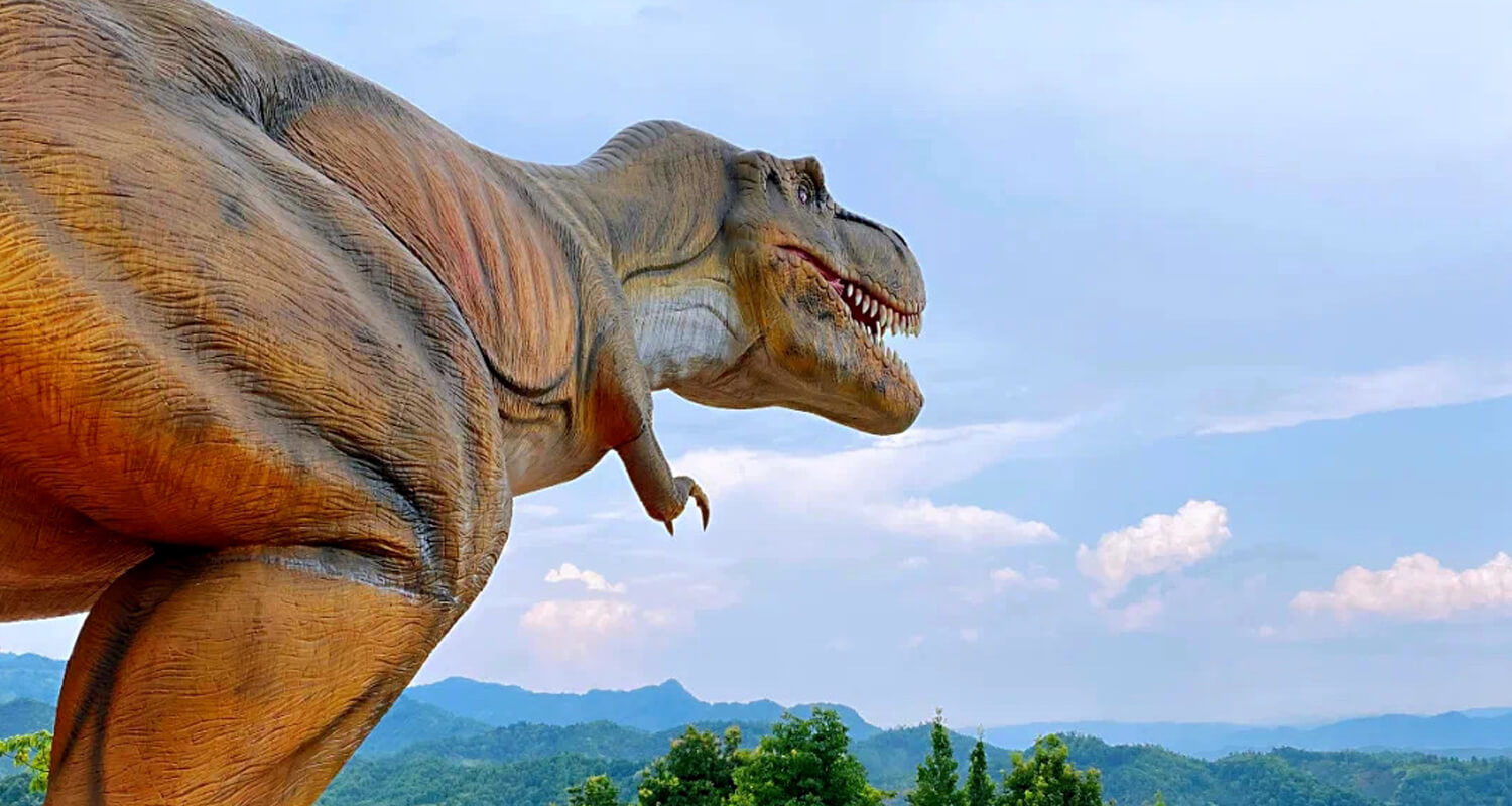 Dinosaur Project in Jiangxi, China