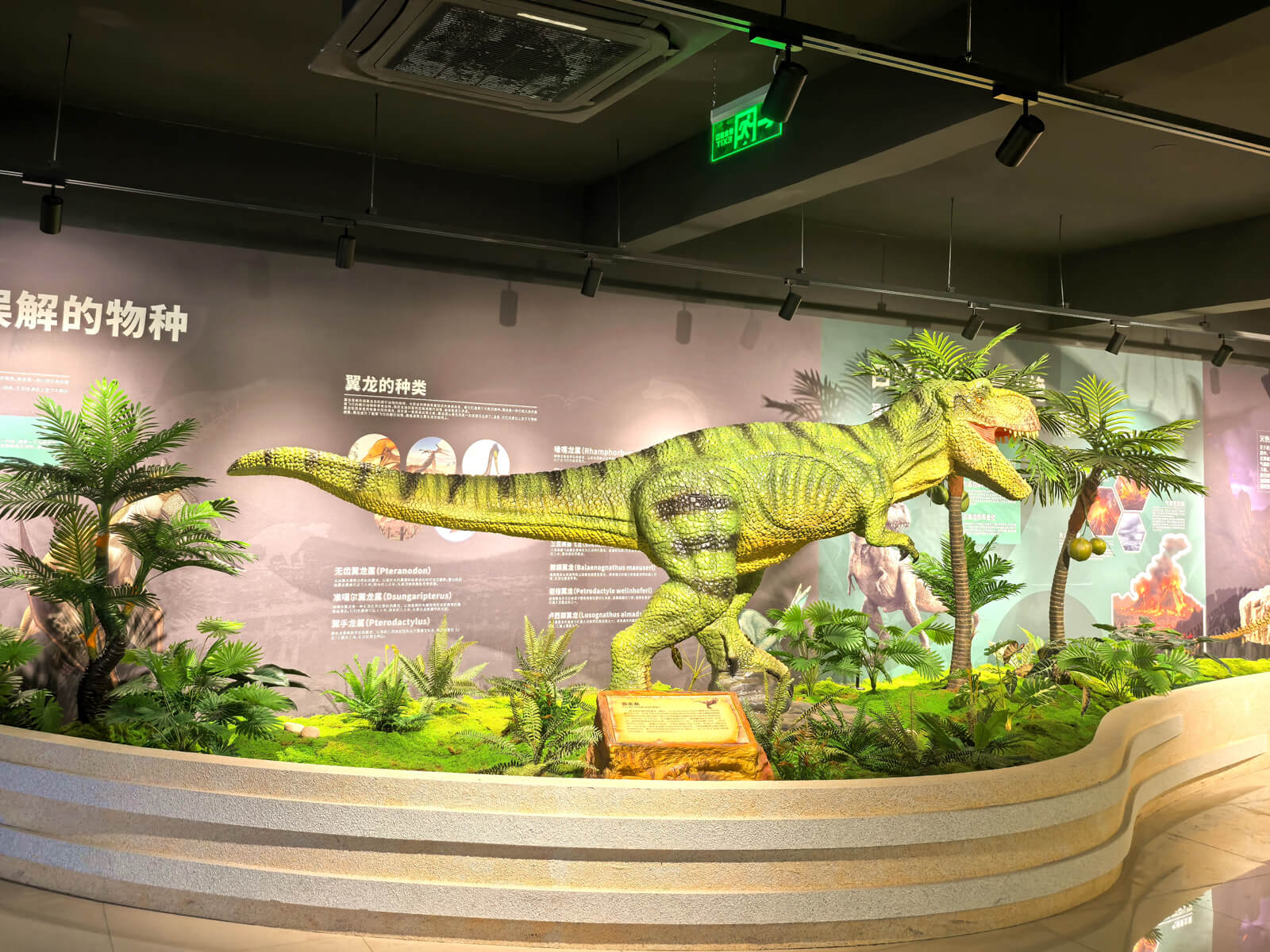 Dinosaur Project in Zhengzhou Museum