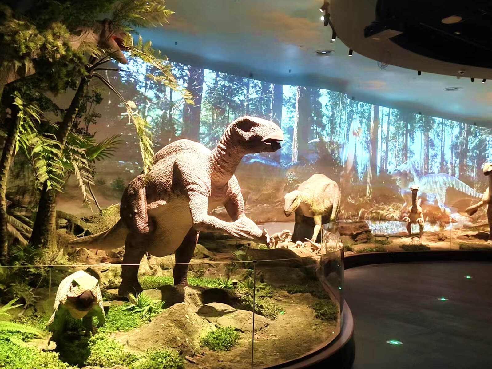 Dinosaur Project in Inner Mongolia Museum