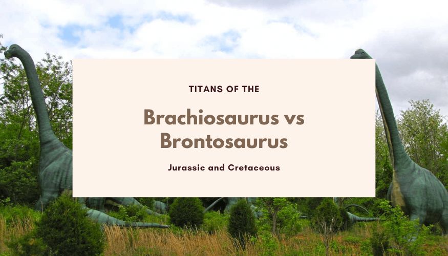 Brachiosaurus vs Brontosaurus Titans of the Jurassic and Cretaceous