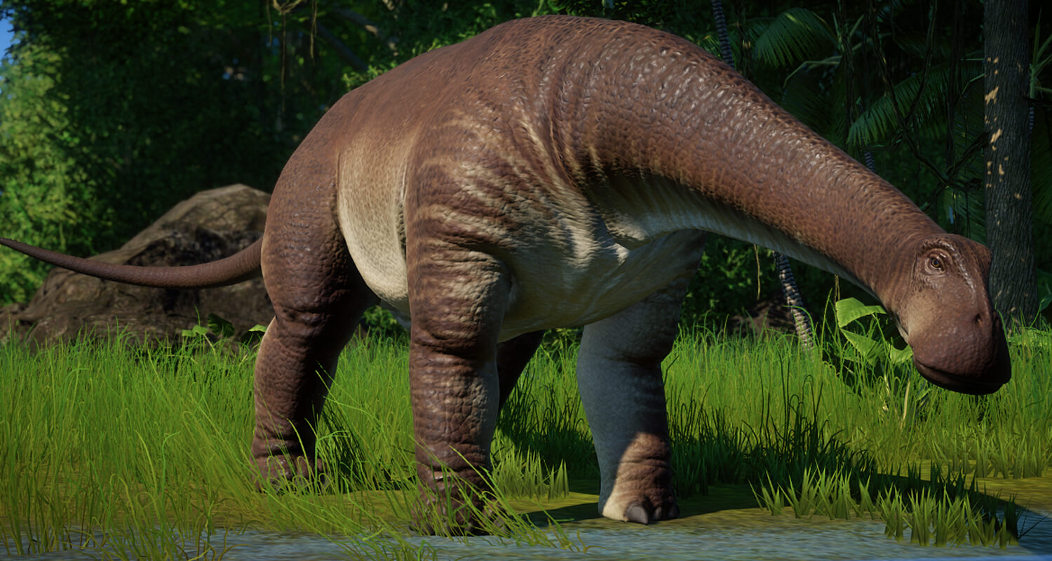 Discovering the Dinosaur with 500 Teeth Facts of the Nigersaurus