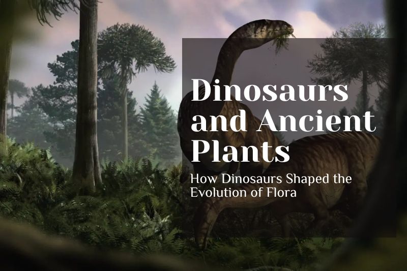 Dinosaurs and Ancient Plants: How Dinosaurs Shaped the Evolution of Flora