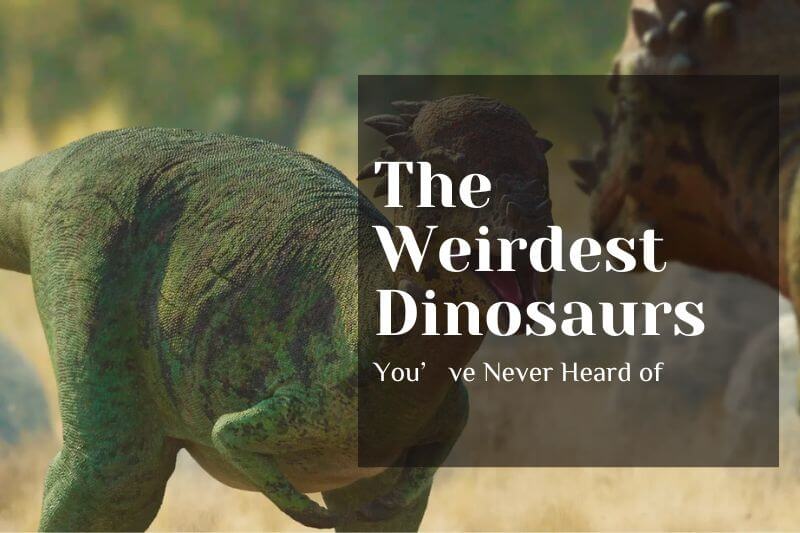 The Weirdest Dinosaurs You’ve Never Heard of