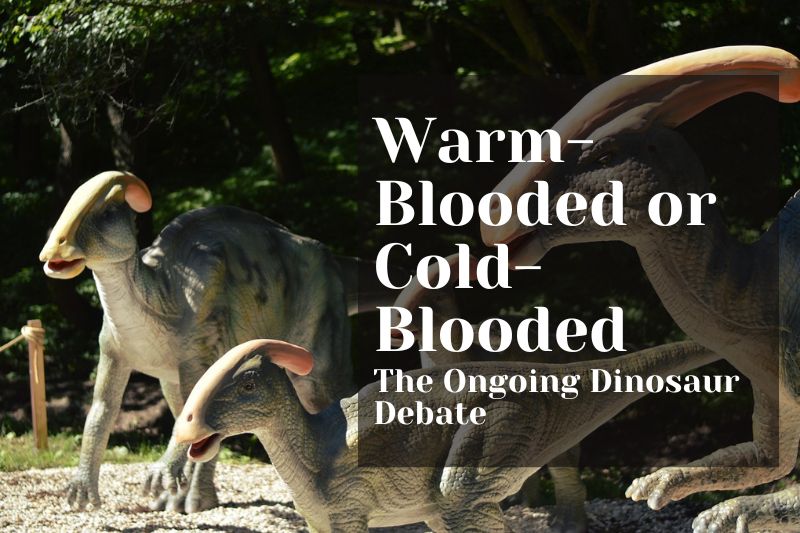 Warm-Blooded or Cold-Blooded? The Ongoing Dinosaur Debate