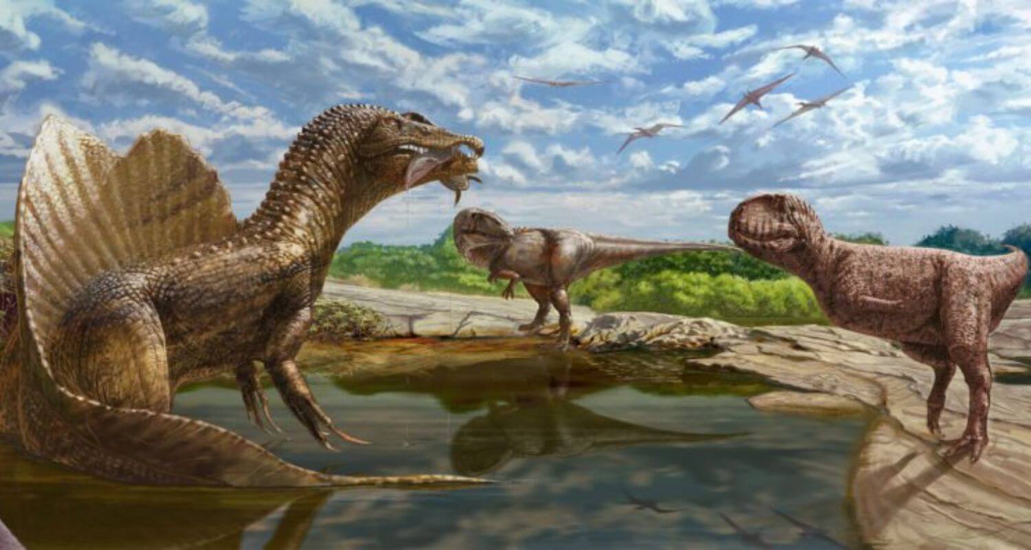 Predator vs. Prey How Dinosaurs Maintained the Balance of Ancient Ecosystems 4
