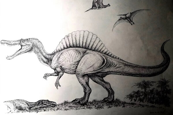 Design Restoration