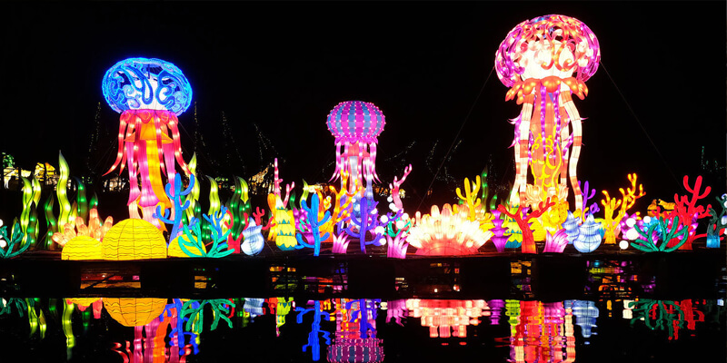 Festival Lantern Details-Color