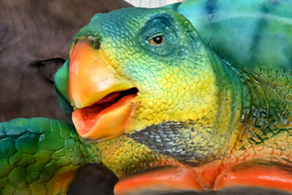 Animatronic Animal Details-Other Details