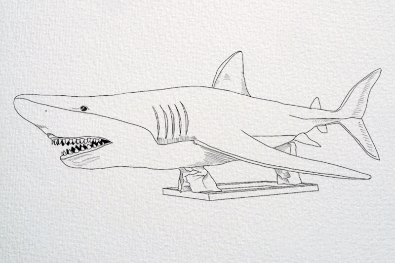 Design Restoration