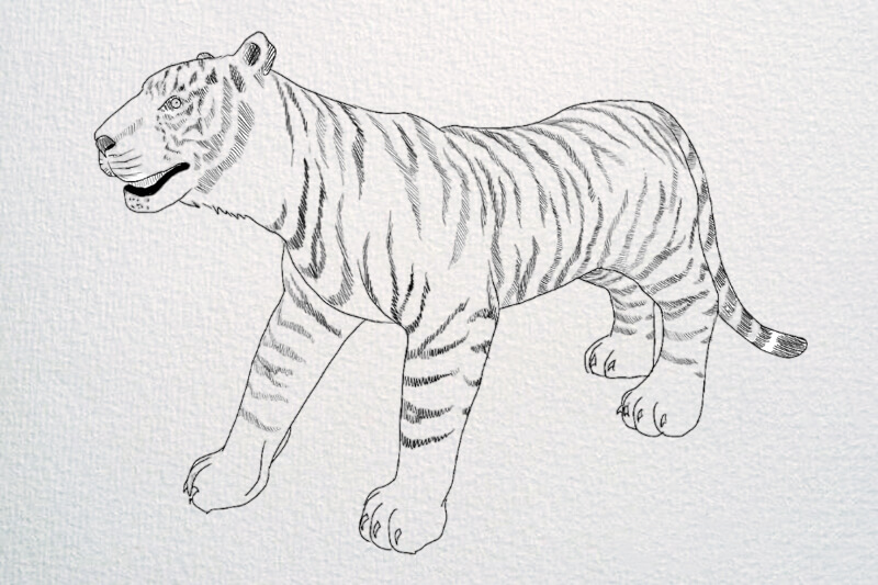 Design Restoration