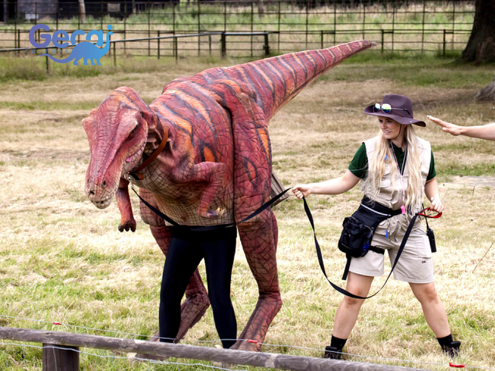Party Tyrannosaurus Rex Dino Costume for Sale