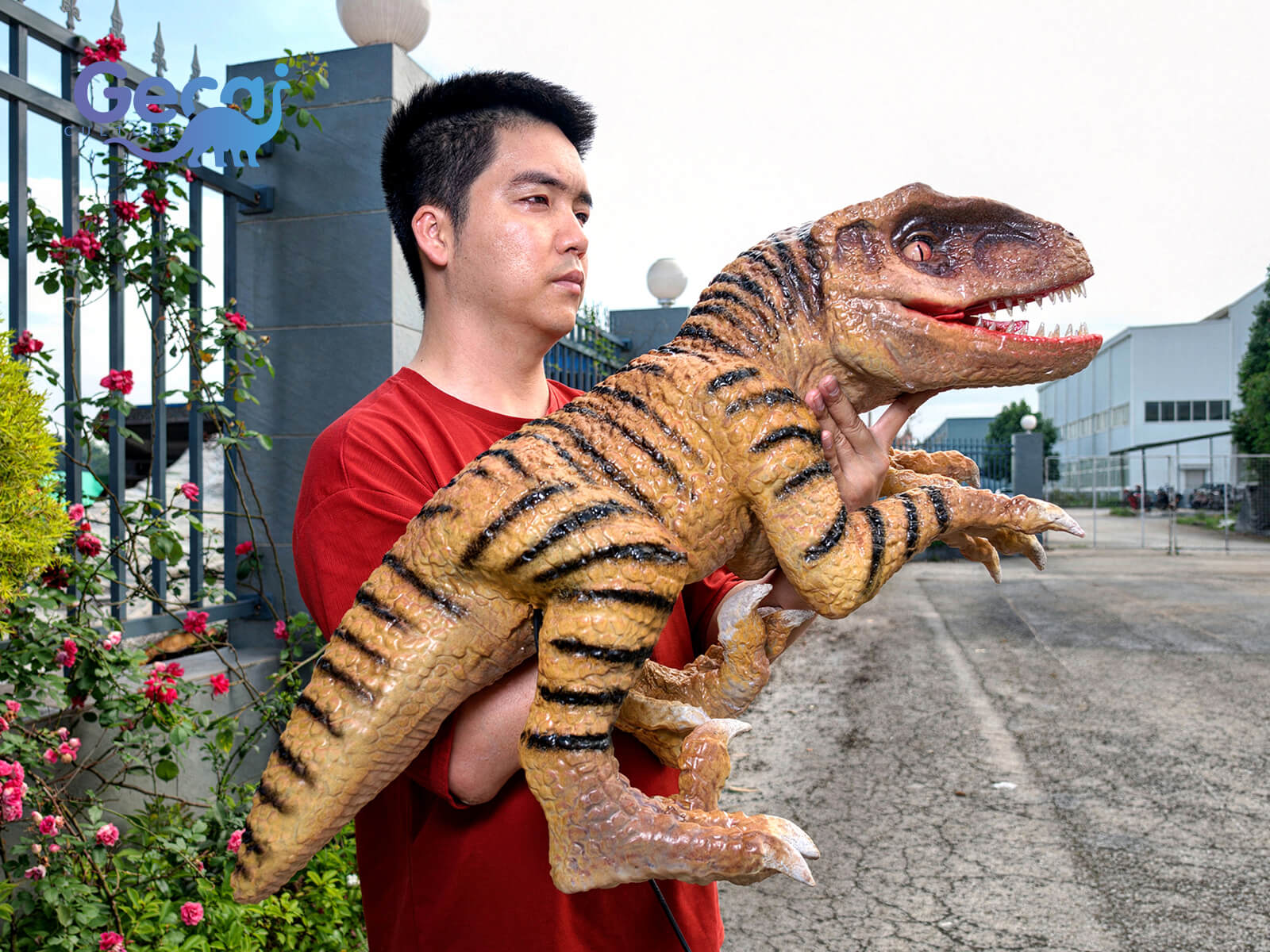 Capture attention and spark imagination with our Realistic Baby Dinosaur Puppet for Show. Designed with meticulous detail, this handheld puppet features lifelike skin textures, vivid coloring, and natural movements such as blinking eyes, opening mouth, and gentle head tilts.