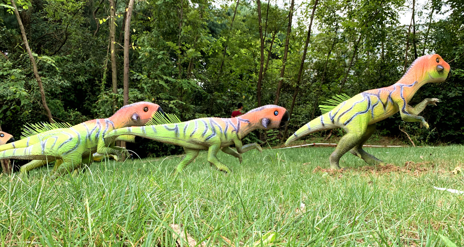 Dinosaur Project in Guangzhou