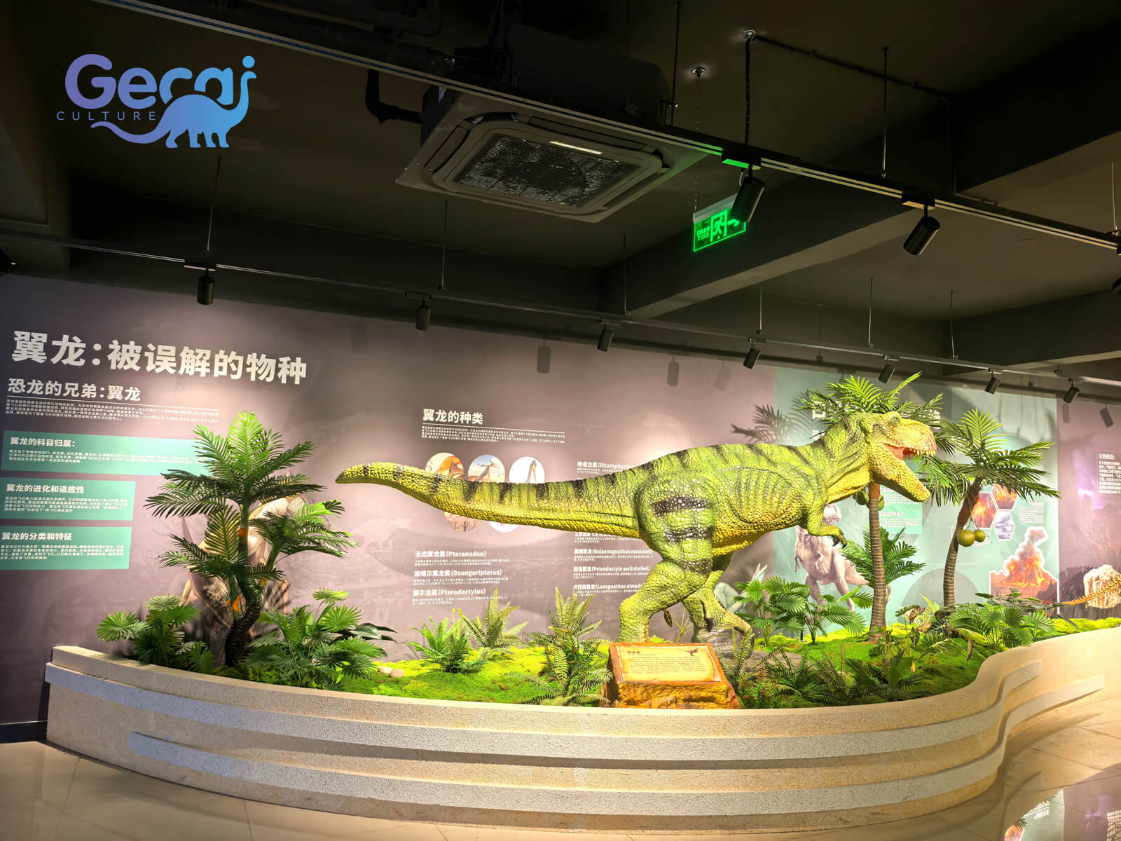 Dinosaur Project in Zhengzhou Museum