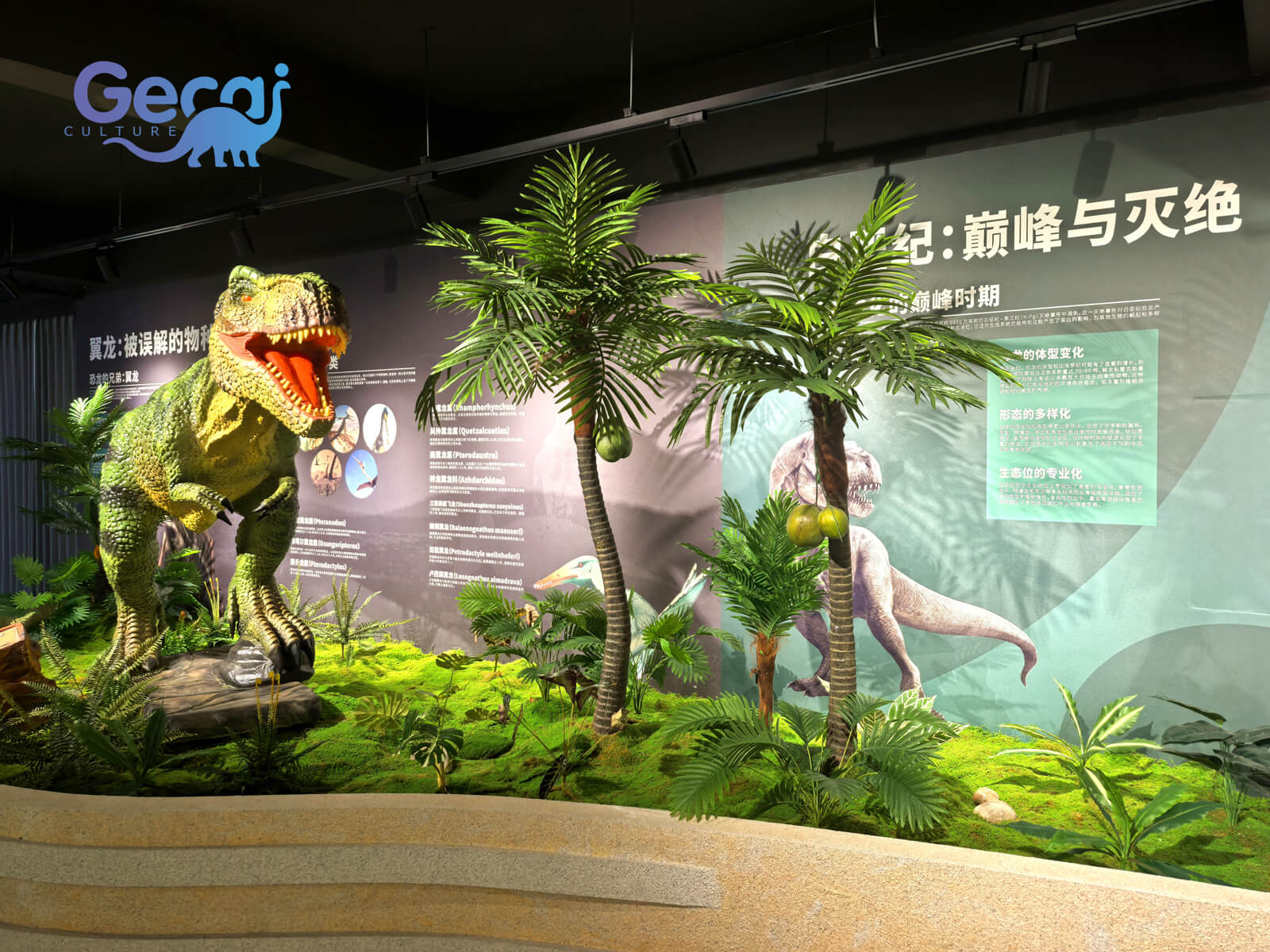 Dinosaur Project in Zhengzhou Museum