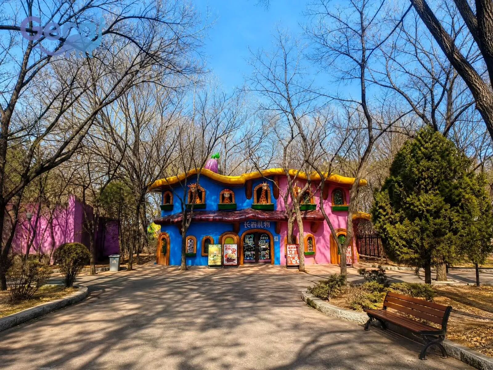 Чанчуньский зоопарк, Китай