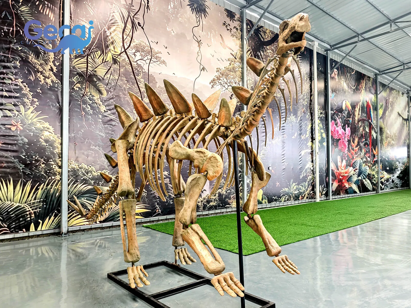 Stegosaurus Fossil Replica para Museu