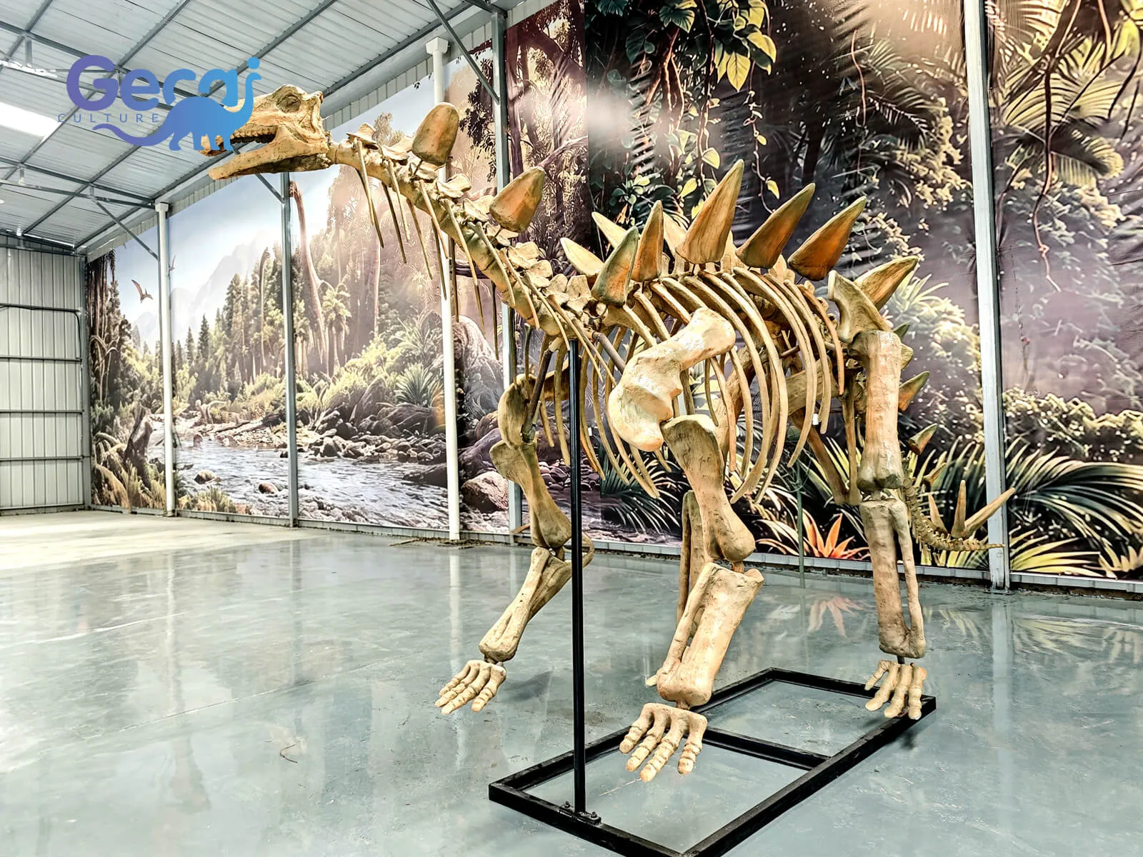 A réplica fóssil de Stegosaurus para o Museu é uma exposição profissionalmente elaborada projetada para museus, centros de ciência, instituições educacionais e atrações temáticas de dinossauros. Reproduzindo o icônico di