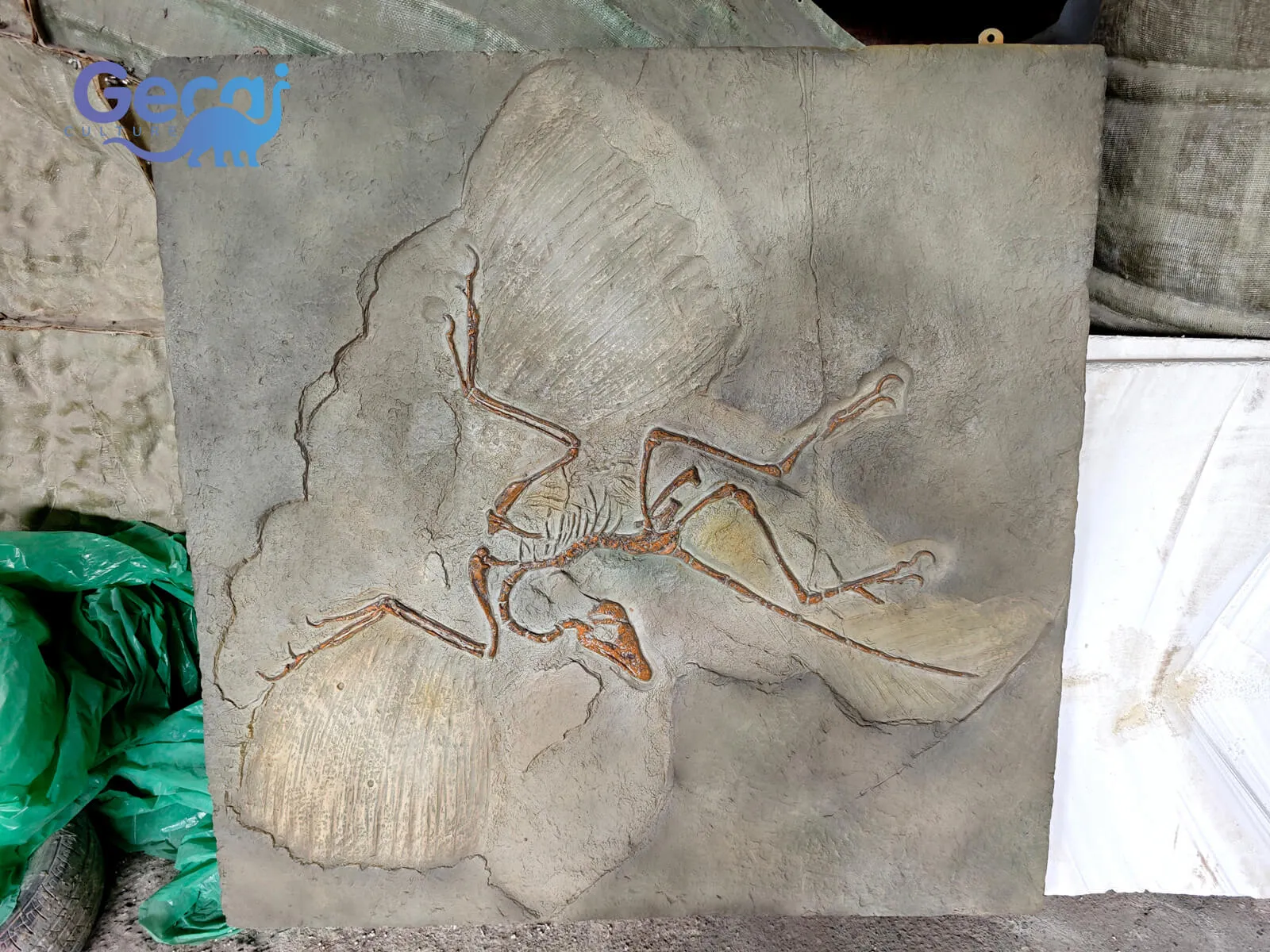 A Réplica Fóssil Archaeopteryx para Museu é uma exibição com qualidade de museu projetada para museus de história natural, centros de ciência, instituições educacionais e exposições de dinossauros. Reproduzindo um dos fó