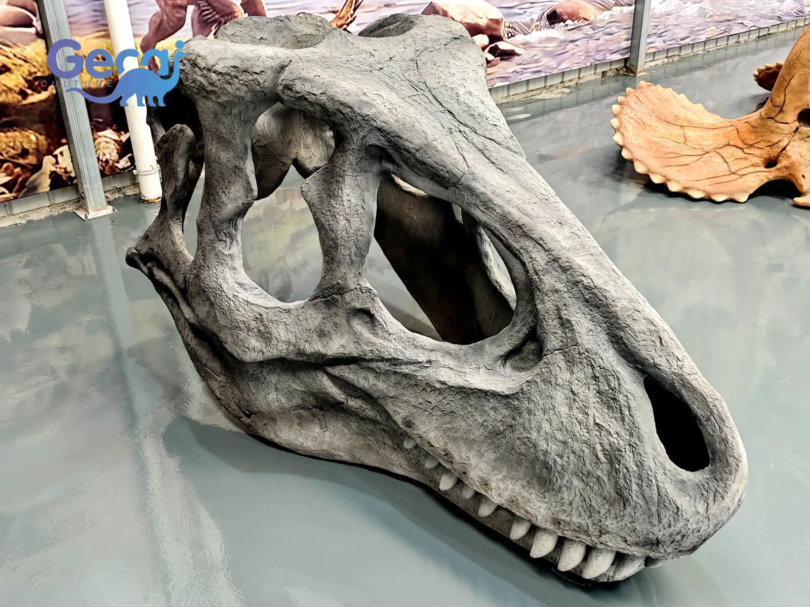 O Allosaurus Skull Fossil Replica for Museum é uma exposição com qualidade de museu projetada para museus de história natural, centros de ciência, instituições educacionais e atrações temáticas de dinossauros. Reproduzin