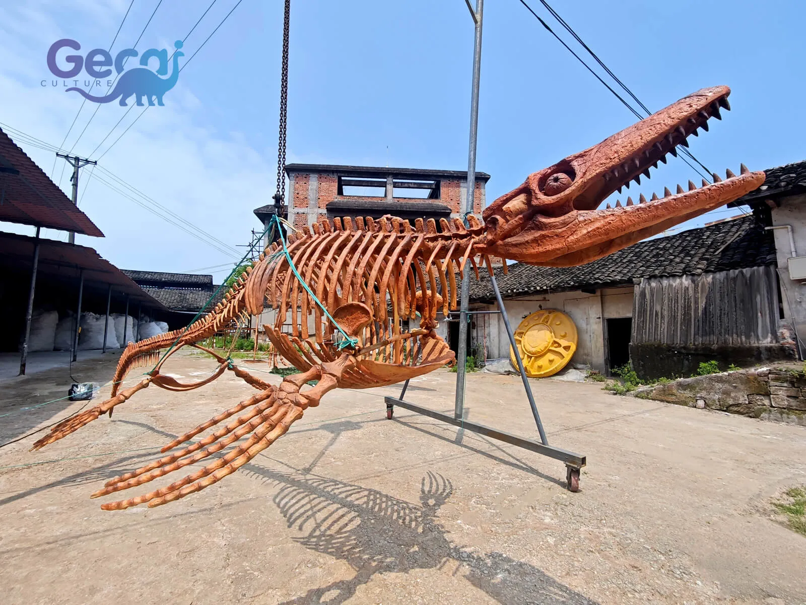 A Réplica Fóssil do Mosasaurus para o Museu é uma exposição com qualidade de museu projetada para museus de história natural, centros de ciência, instituições educacionais e exposições temáticas marinhas. Reproduzindo co