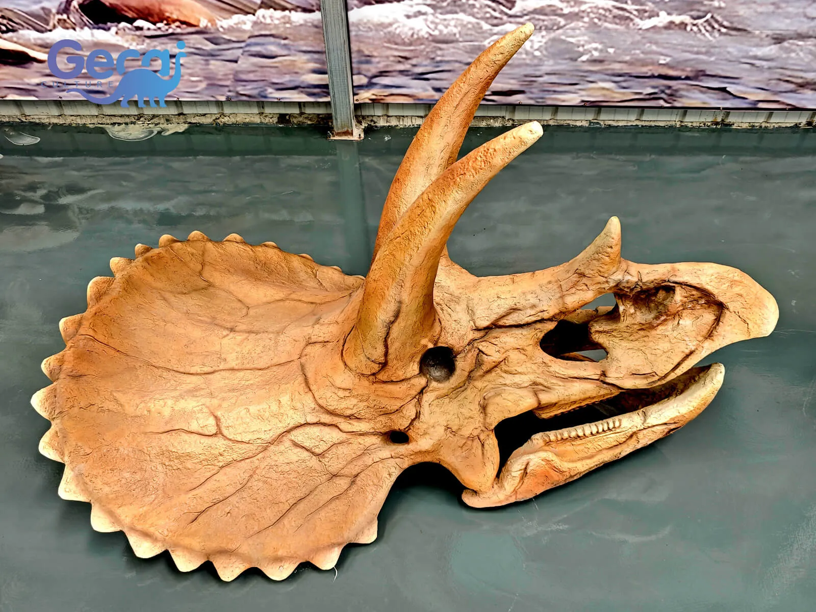 Réplica Fossil Crânio Triceratops para Museu