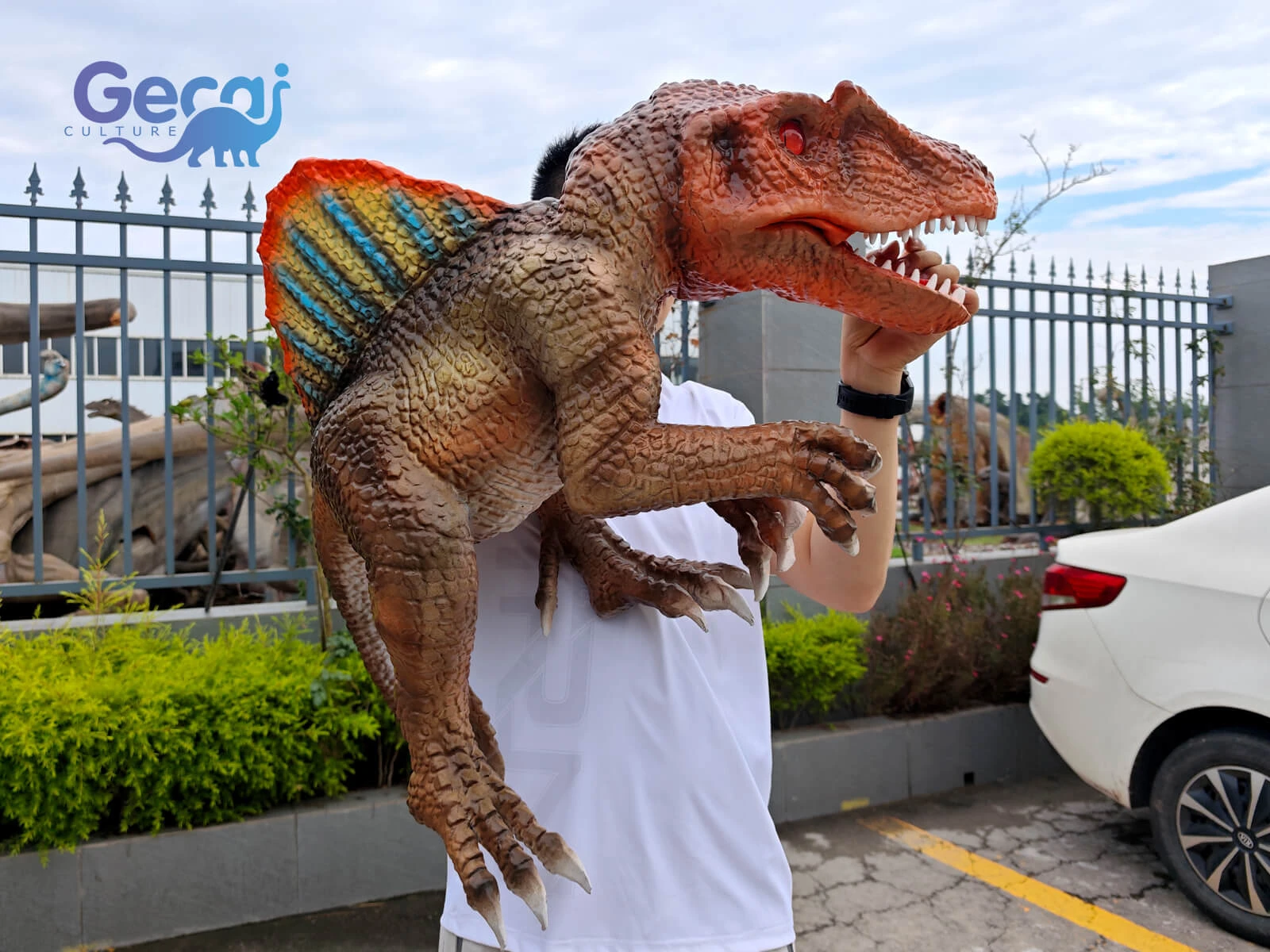 イベント用のLife Size Spinosaurus Puppetは、テーマパーク、展示会、フェスティバル、教育活動、大規模なエンターテインメントイベント向けに設計された、リアルで印象的なパフォーマンスプロップです。スピノサウルスの象徴的な帆のような背中、長いワニのような鼻、詳細な肌の質感、そしてリアルな恐竜のような外観を特徴とし、このパペットは観客の注目を集める強力な先史時代の存在感を作り出します。