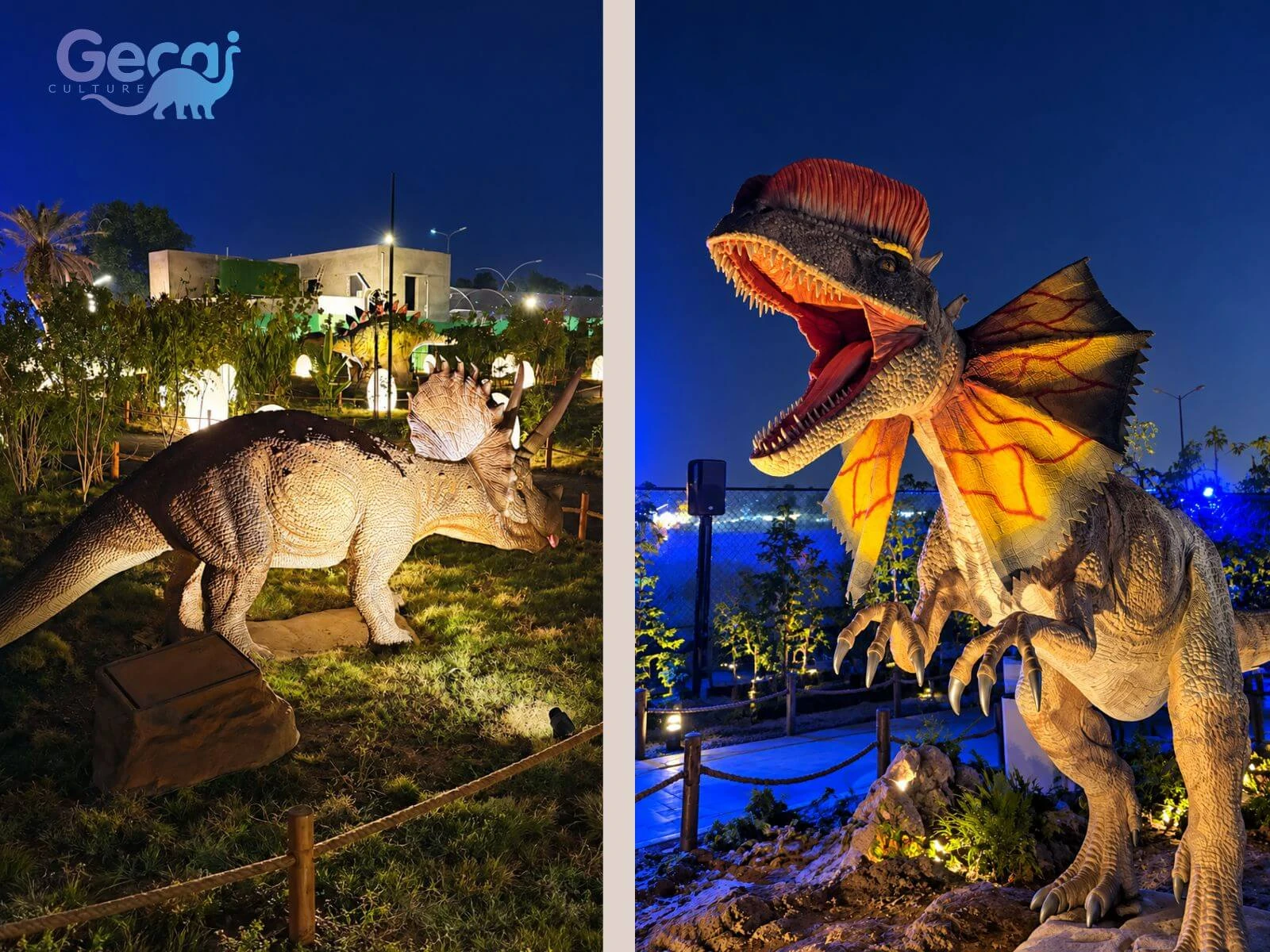Dinosaur Park Project in Pakistan