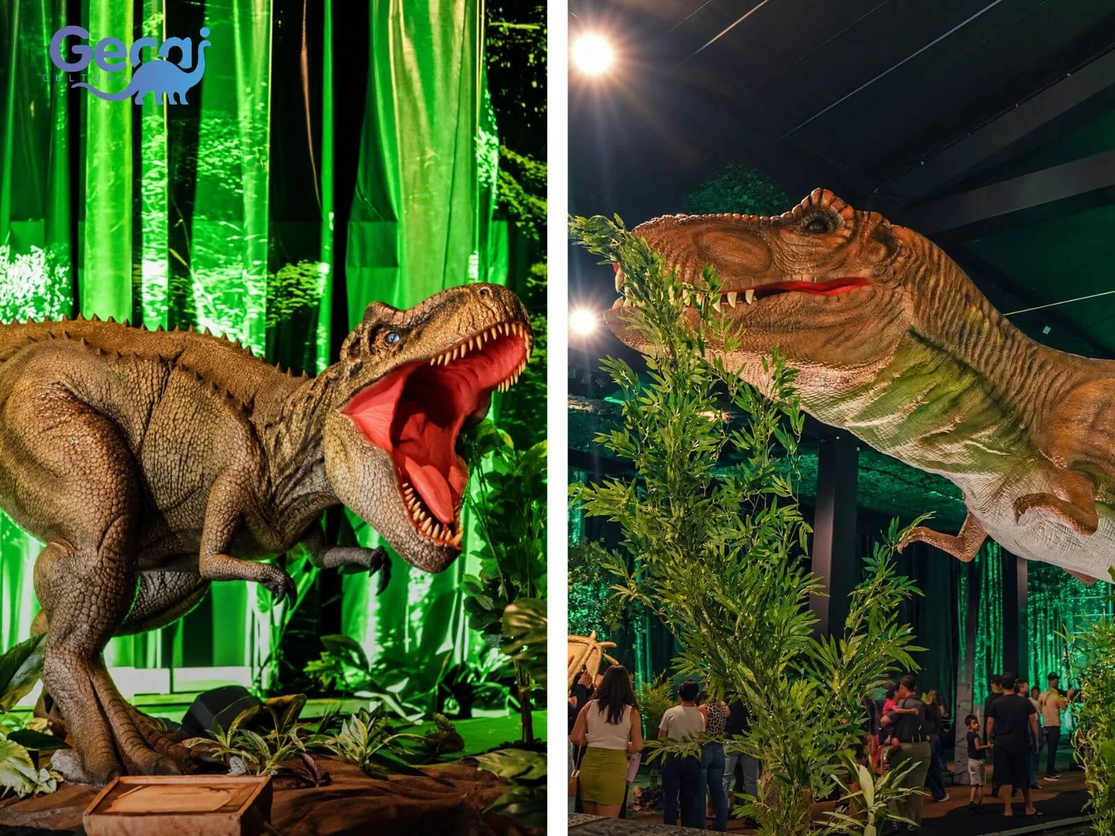 Dinosaur Park Project in Brazil