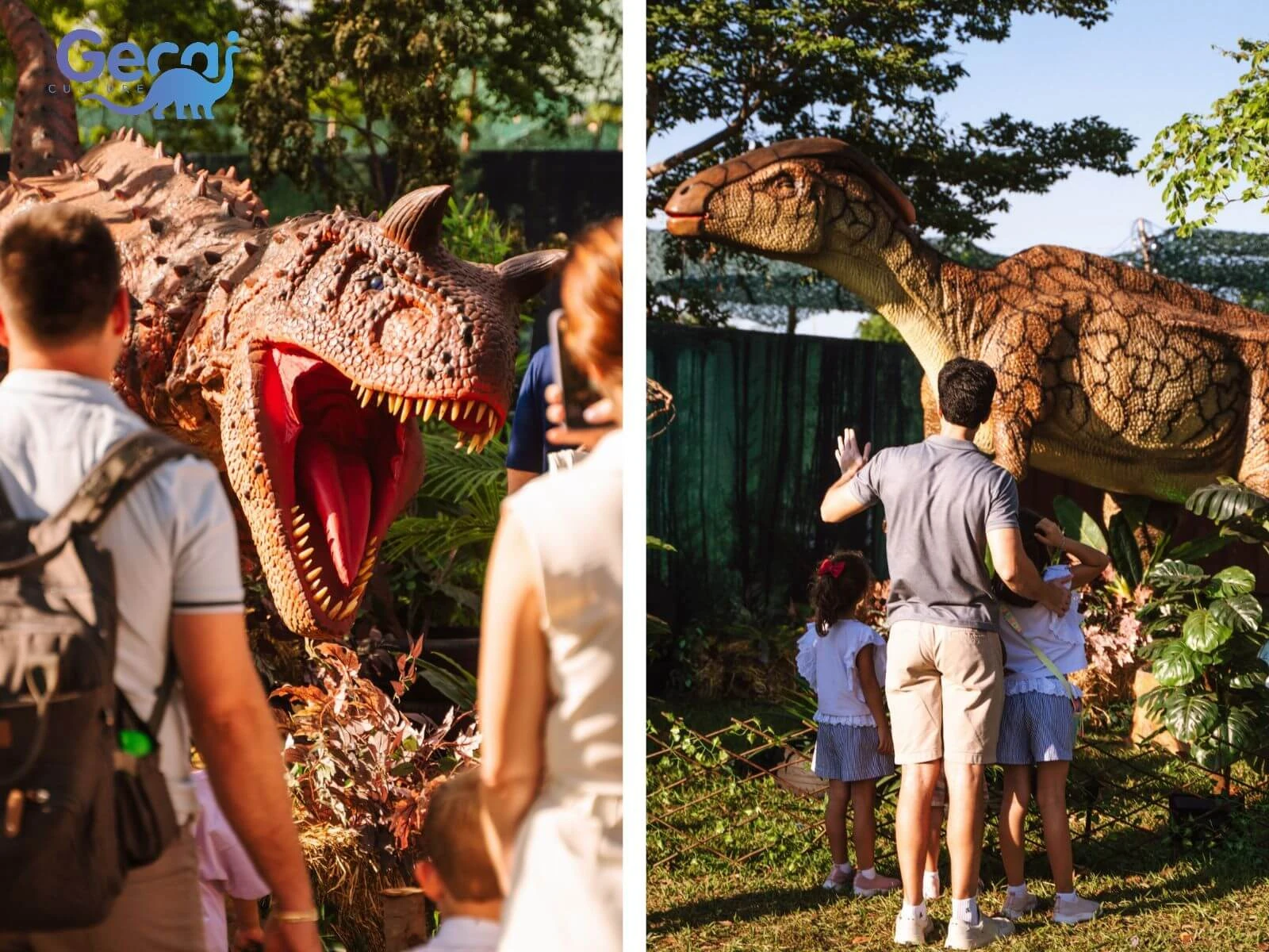 Dinosaur Park Project in Brazil