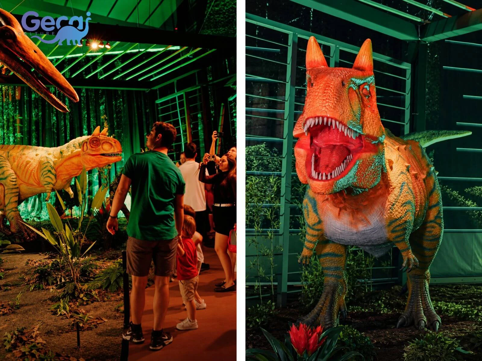 Dinosaur Park Project in Brazil