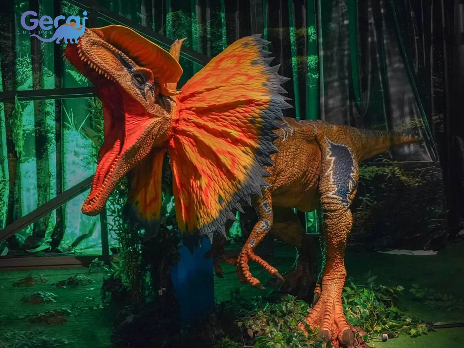 Dinosaur Park Project in Brazil